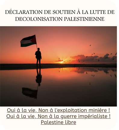 DÉCLARATION DE SOUTIEN À LA LUTTE DE DECOLONISATION PALESTINIENNE