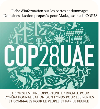 LA COP28 EST UNE OPPORTUNITÉ CRUCIALE POUR L’OPÉRATIONNALISATION D’UN FONDS POUR LES PERTES ET DOMMAGES POUR LE PEUPLE ET PAR LE PEUPLE